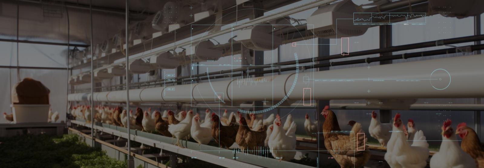 Smart Precision Livestock Farming