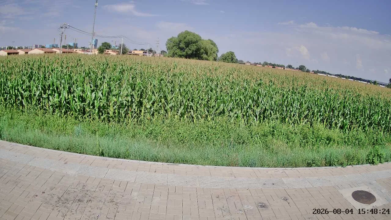 A moment from the road on Aug 4, 2026